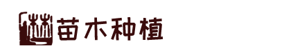开云app官方在线入口-开云(中国)